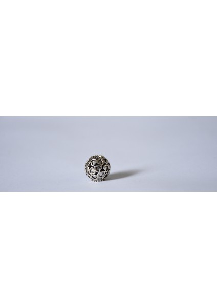 Takantalana Worldshop Bileklik Uyumlu Gümüş Charm