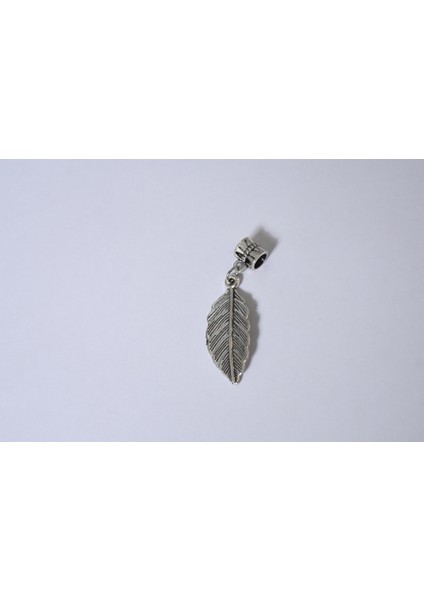 Takantalana Worldshop Bileklik Uyumlu Gümüş Charm