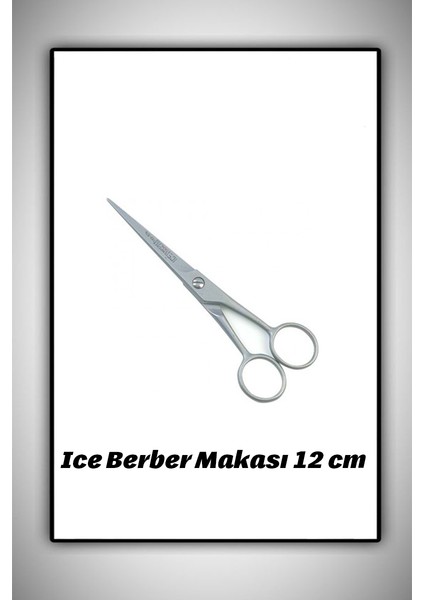 Saç Makası 12 cm Paslanmaz Çelik + Palmiye Büyük Tarak Siyah 17 cm