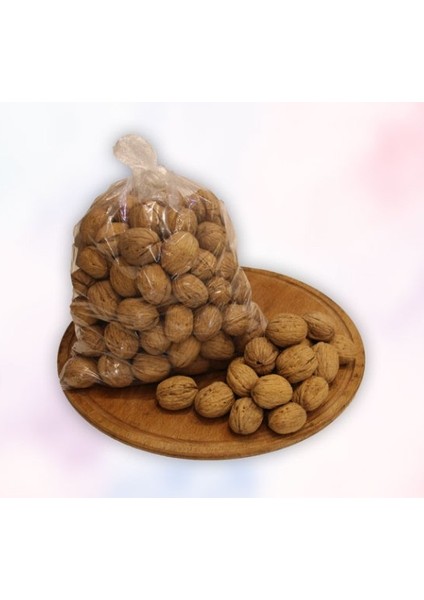 Ceviz Kabuklu modelleri