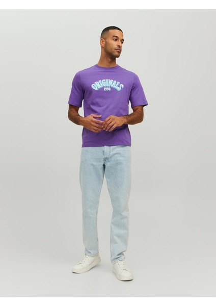 Joreuphorı Tee Ss Crew Neck Tg Mor Erkek T-Shirt 12232256-Deep fiyatları