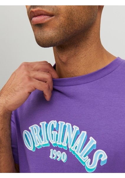 Joreuphorı Tee Ss Crew Neck Tg Mor Erkek T-Shirt 12232256-Deep fırsatları