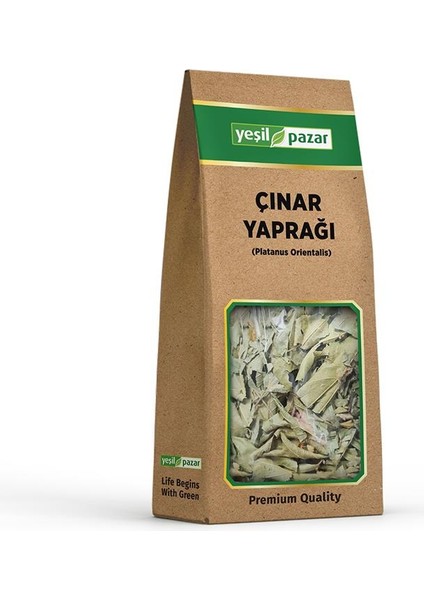 Çınar Yaprağı 20 gr