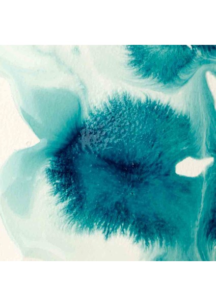 Professional Akrilik Flow Aid 118ML fiyatları