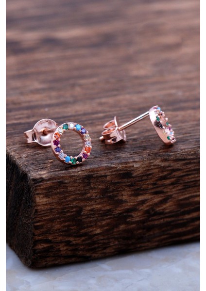 Halka Tamtur Mix Taşlı Rose Gümüş Küpe 6022