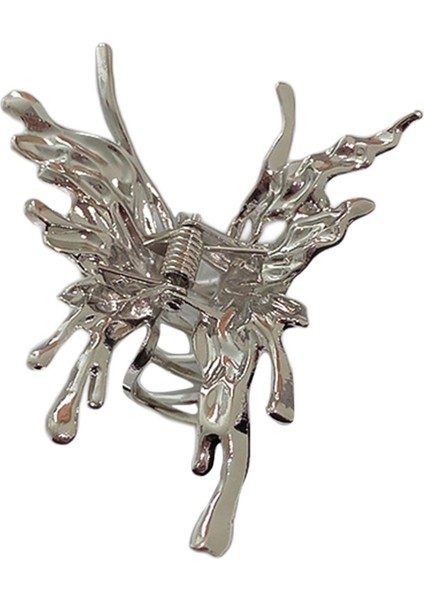 Saç Aksesuarı (Yurt Dışından) fiyatları