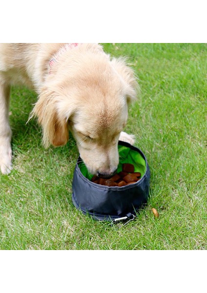 Yürüyüş Kampı Açık Gri Için Katlanabilir Köpek Besleme Su Kasesi (Yurt Dışından)