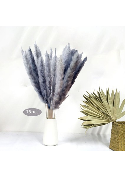 15X Kurutulmuş Pampas Çim Phragmites Sazlık Oda Çiçek Aranjman Izgarası (Yurt Dışından) fırsatları
