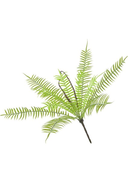 Yapay Fern Bitkileri Ev Ofis Bahçesi Açık Dekor Cycas Fern Için Farsça Rattan (Yurt Dışından)