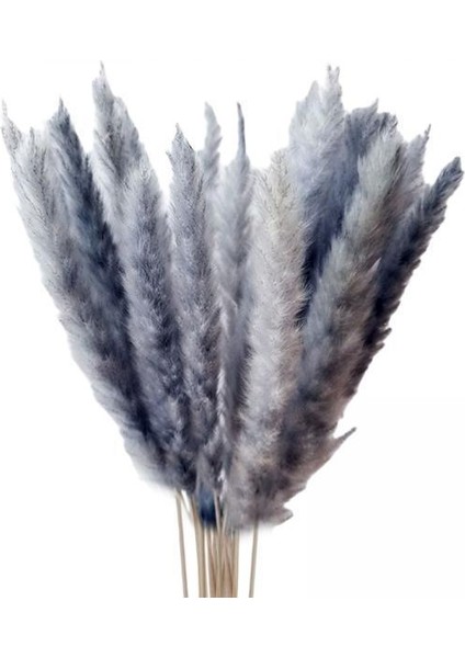 45X Kurutulmuş Pampas Çim Kamış Çiçekleri Bunch Ev Parti Hediye Boho Dekor Gri (Yurt Dışından)