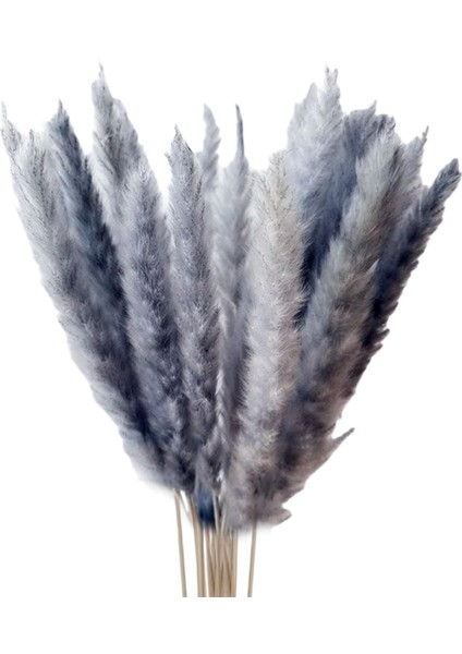 45X Kurutulmuş Pampas Çim Kamış Çiçekleri Bunch Ev Parti Hediye Boho Dekor Gri (Yurt Dışından) fiyatları