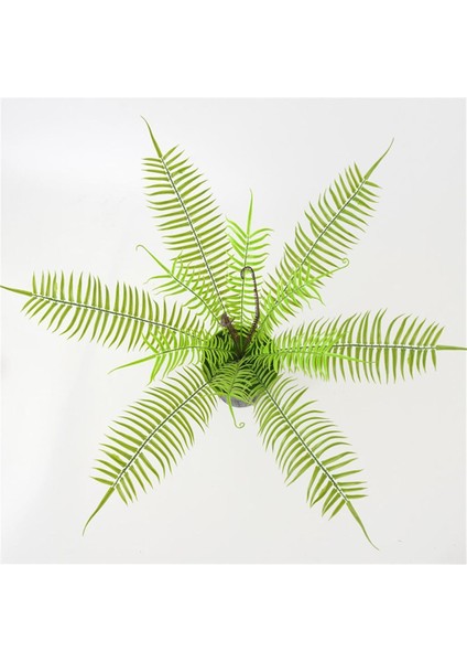 Yapay Fern Bitkileri Ev Ofis Bahçesi Açık Dekor Cycas Fern Için Farsça Rattan (Yurt Dışından) modelleri