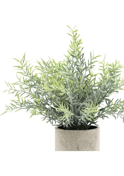 2 Parça Mini Sahte Saksı Bitki Yeşillik Ev Dekoru Açık Düğün Biberiye+Yapraklar (Yurt Dışından) indirimleri