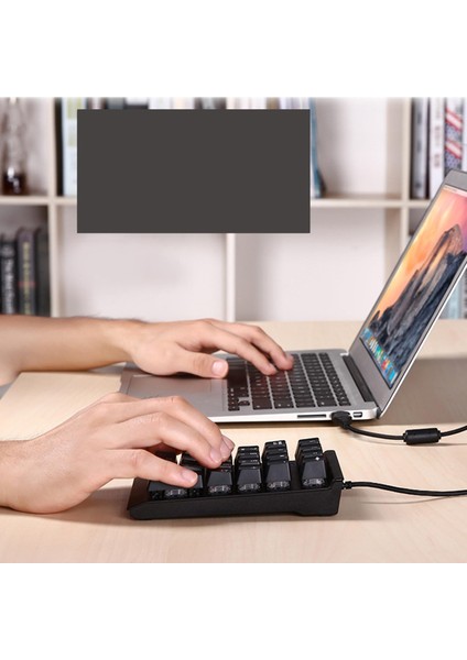 Numaralı Klavye Masaüstü Bilgisayar Tablet Dizüstü Bilgisayar Klavye Uzantıları Siyah (Yurt Dışından)