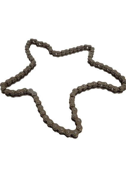 W-Dıd Cub Eksantrik Zinciri 84L