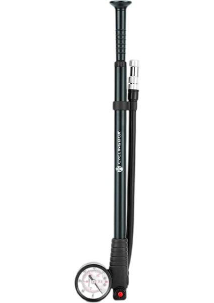 Kanama Düğmeli Pompa (Yurt Dışından)