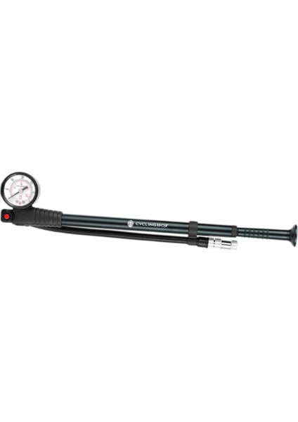 Kanama Düğmeli Pompa (Yurt Dışından) modelleri