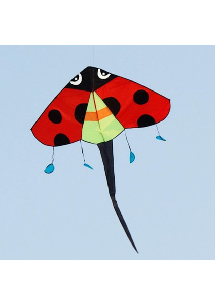 Fly Kite Oyuncak Sporları (Yurt Dışından) fiyatları