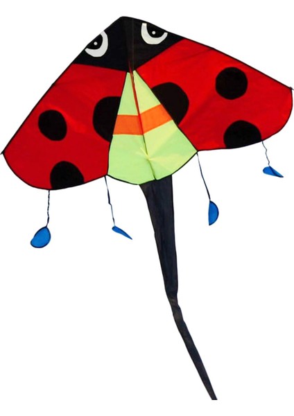 Fly Kite Oyuncak Sporları (Yurt Dışından) fırsatları