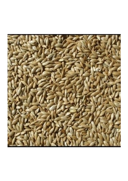 Kanarya Sade Yem 1 kg Aspur