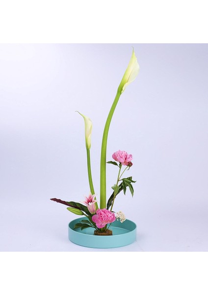 2xplastik Yuvarlak Ikebana Suiban Vazo Pot Bonsai Çiçeği (Yurt Dışından) fırsatları