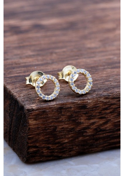 Halka Tamtur Taşlı Altın Kaplama Gümüş Küpe 6029 fiyatları