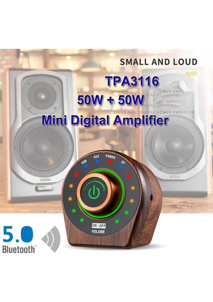 Tahıl Mini Stereo Amfisi (Yurt Dışından)