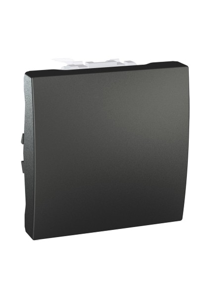 MGU3.206.12 Top Grafit Liht Butonu - 2 Modül