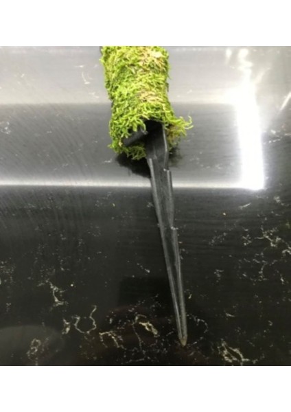 Bitkidestek Çubuğu (Yosun Sopası) 60CM
