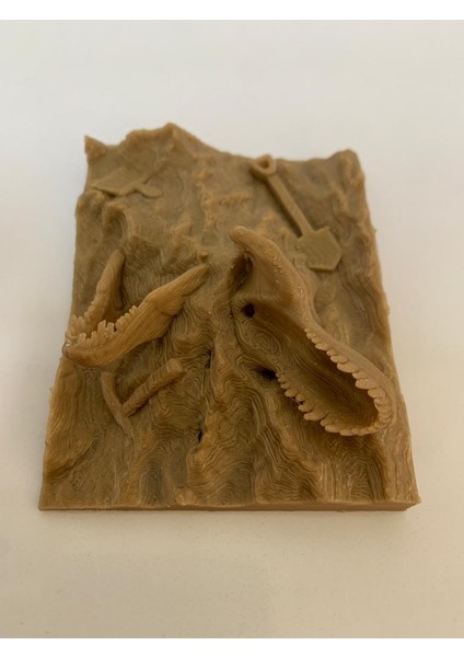 T-Rex Fosili
