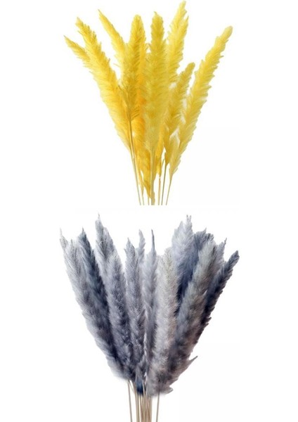 30PCS Boho Kurutulmuş Pampas Çim Çim Çiçekler Ev Masa Oturma Odası Dekorasyon (Yurt Dışından)