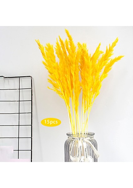 30PCS Boho Kurutulmuş Pampas Çim Çim Çiçekler Ev Masa Oturma Odası Dekorasyon (Yurt Dışından)