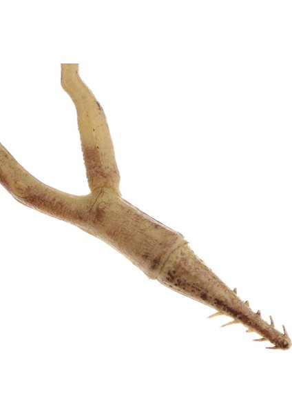 El Yapımı El Sanatları 7 Adet (Yurt Dışından) modelleri