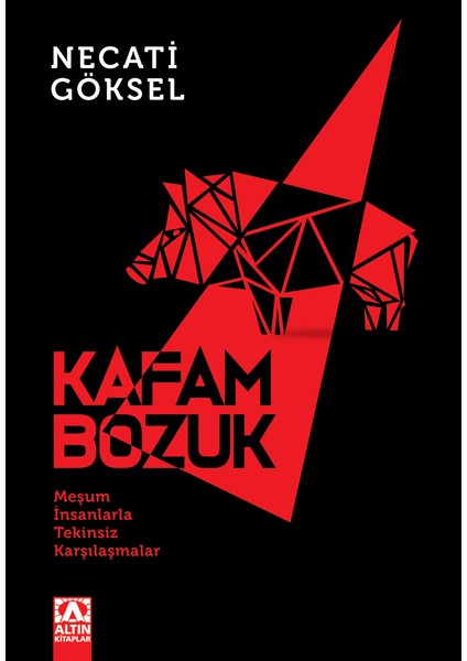 Kafam Bozuk - Necati Göksel