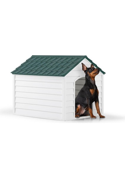 Köpek Kulübesi modelleri