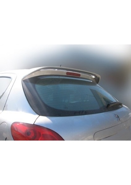 Peugeot 207 Spoiler Boyalı
