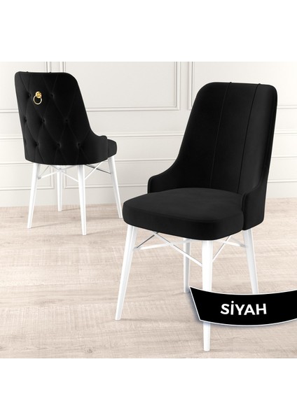 Concept Taç Serisi, Açılabilir 80X132 Beyaz Yemek Odası Takımı , 6 Sandalye Gold Halkalı