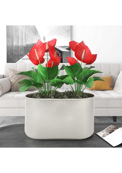Metal Orkide Saksı Demir Bitki Pot Ekici Kapalı Ev Oturma Odası Argent M (Yurt Dışından) fırsatları