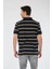 Çizgili Polo Yaka Regular Fit Erkek T-Shirt 4