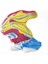 Professional Akrilik Sedefli Pouring Medyum + Soft Body Akrilik Seti 2