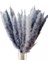 45X Kurutulmuş Pampas Çim Kamış Çiçekleri Bunch Ev Parti Hediye Boho Dekor Gri (Yurt Dışından) 1
