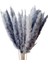 45X Kurutulmuş Pampas Çim Kamış Çiçekleri Bunch Ev Parti Hediye Boho Dekor Gri (Yurt Dışından) 2