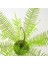 Yapay Fern Bitkileri Ev Ofis Bahçesi Açık Dekor Cycas Fern Için Farsça Rattan (Yurt Dışından) 4