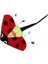 Fly Kite Oyuncak Sporları (Yurt Dışından) 1