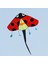 Fly Kite Oyuncak Sporları (Yurt Dışından) 2