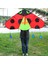 Fly Kite Oyuncak Sporları (Yurt Dışından) 5