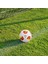 Futbol Takım Spor Top Oyuncakları (Yurt Dışından) 2