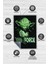 Gücü Hisset Dokuma Tabanlı Yıkanabilir Kaymaz Star Wars Film Halısı 4