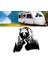 Ayı Orman Manzara Kamp Karavan Sticker, Off Road STICKER-S1409 1