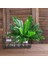 Yapay Çiçek Cycas Aşk Merdiveni Eğrelti Otu Sıkas Bitkisi 18 Yaprak 40*50 cm Yapay Bitki 3